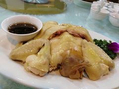 -柳饮·春柳酒家