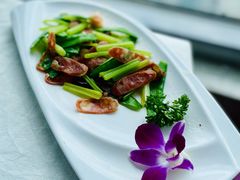 -云中小雅