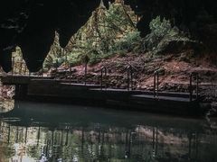 -怀托摩萤火虫洞