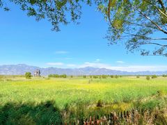 -野鸭湖国家湿地公园