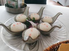 -芭厘农庄老字号·清远鸡