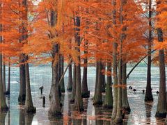 -白鹭湾湿地公园