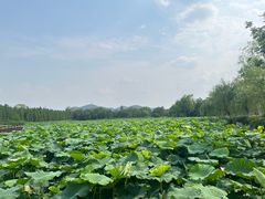 -云龙湖旅游景区