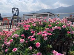 -唐咖精品咖啡(大理古城手冲店)