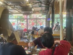 -百利鸽王(紫薇路店)