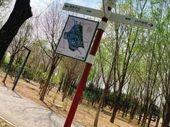 -东郊湿地公园
