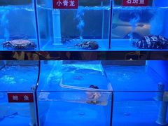 -小龍鳳·港式海鲜打边炉(沙湖路店)