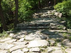 -北京鹫峰国家森林公园