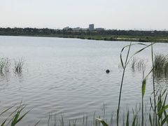 -绿堤公园