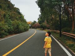 -宝界山林公园