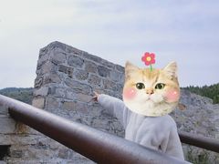 -井塘古村
