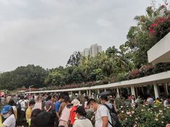 -人民公园(罗湖区)