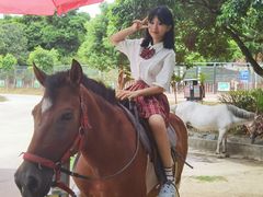 -泉州海丝野生动物世界