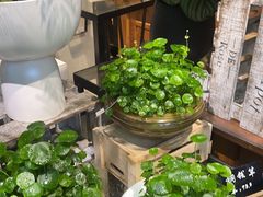 -弗劳尔花艺坊(龙涛店)