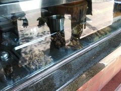 -森成美食店(海珠店)