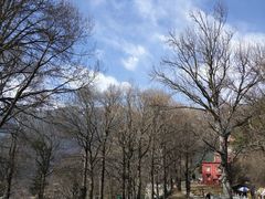-康定跑马山风景区