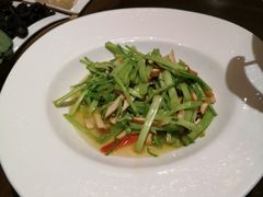-金陵精菜馆
