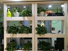 -学知乐教育·幼小衔接·小学科辅导(嘉定镇校区)