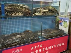 -江南鱼捞(北仑银泰城店)