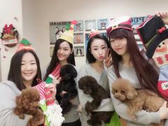 -多卡布奇宠物生活馆(上林世家店)