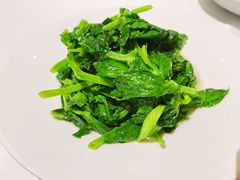 清炒大豆苗-HOMES上海本帮菜(襄阳公园店)