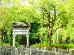 -深圳国际园林花卉博览园