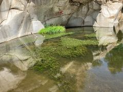 -碓臼峪自然风景区