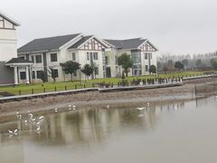 -明珠湖天鹅苑·农家菜馆