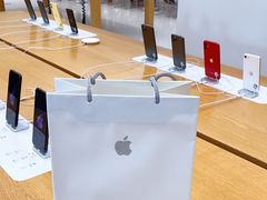 -Apple零售店(济南恒隆广场店)