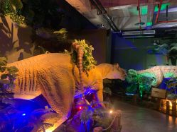 -恐龙探索乐园(磁器口店)