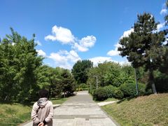 -长白岛森林公园