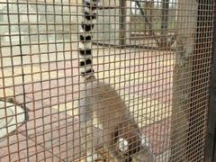 android_upload_pic-石家庄市动物园