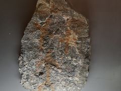 -呼伦贝尔民族博物馆