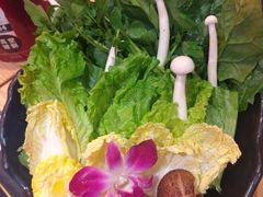-淼福猪肚鸡·椰子鸡火锅(大沙地店)