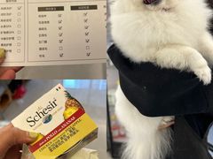 -comecome来吧宠物(奥克斯中心店)