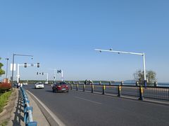 -合肥滨湖国家森林公园