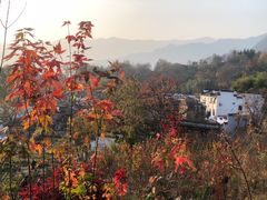 -塔川景区