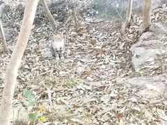 -崂山巨峰游览区