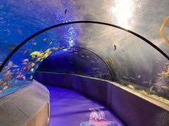 -太平洋海底世界