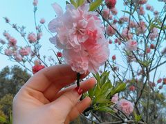 -蜀冈西峰生态公园