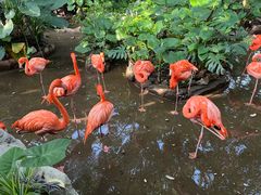 -长鹿旅游休博园