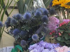 -亭亭鲜花店(中山北路店)