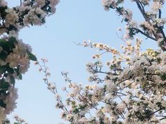 -海棠花溪(元大都城垣遗址公园)