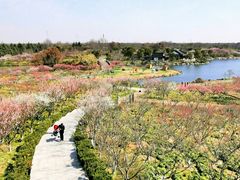 -上海海湾国家森林公园