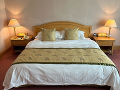 -南京维景国际大酒店(南京博物院店)