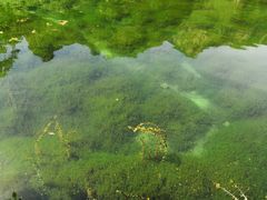 -沕沕水生态风景区