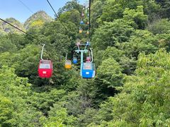 -朱雀国家森林公园