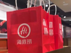 -海底捞火锅(吾悦广场店)