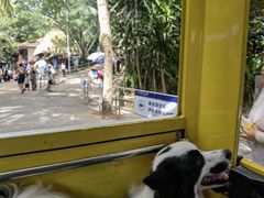 -海南分界洲岛旅游区