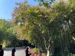 -桃花涧